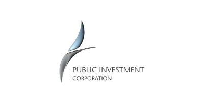 Public Investment